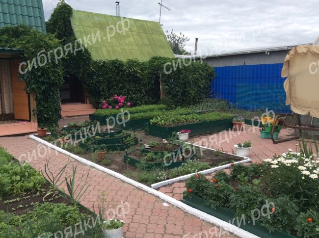Клумба "Альпийская горка" в Санкт-Петербурге Клумба "Альпийская горка" в Санкт-Петербурге