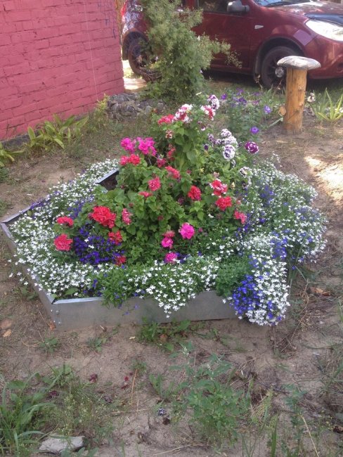 Клумба "Сота" 400 оцинкованная в Санкт-Петербурге